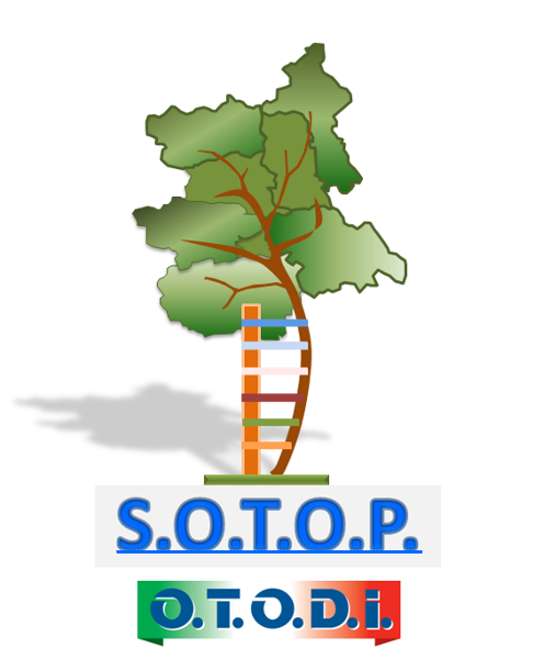 GIOVEDI’ DELLA SOTOP 2027 
