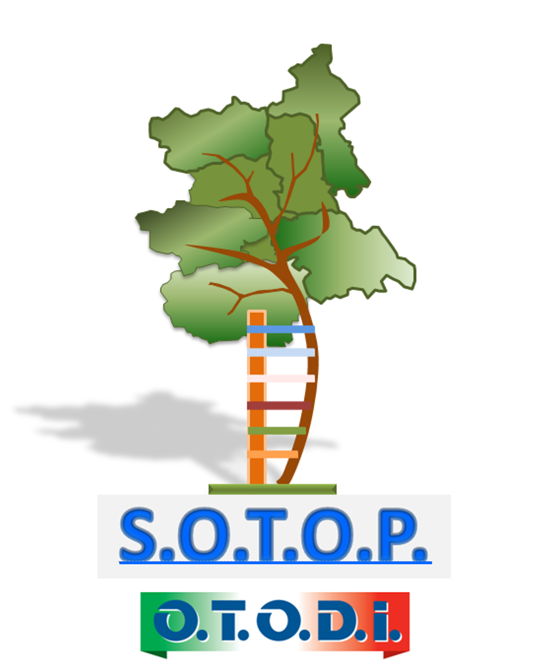 Congresso Regionale S.O.T.O.P. 2027  
