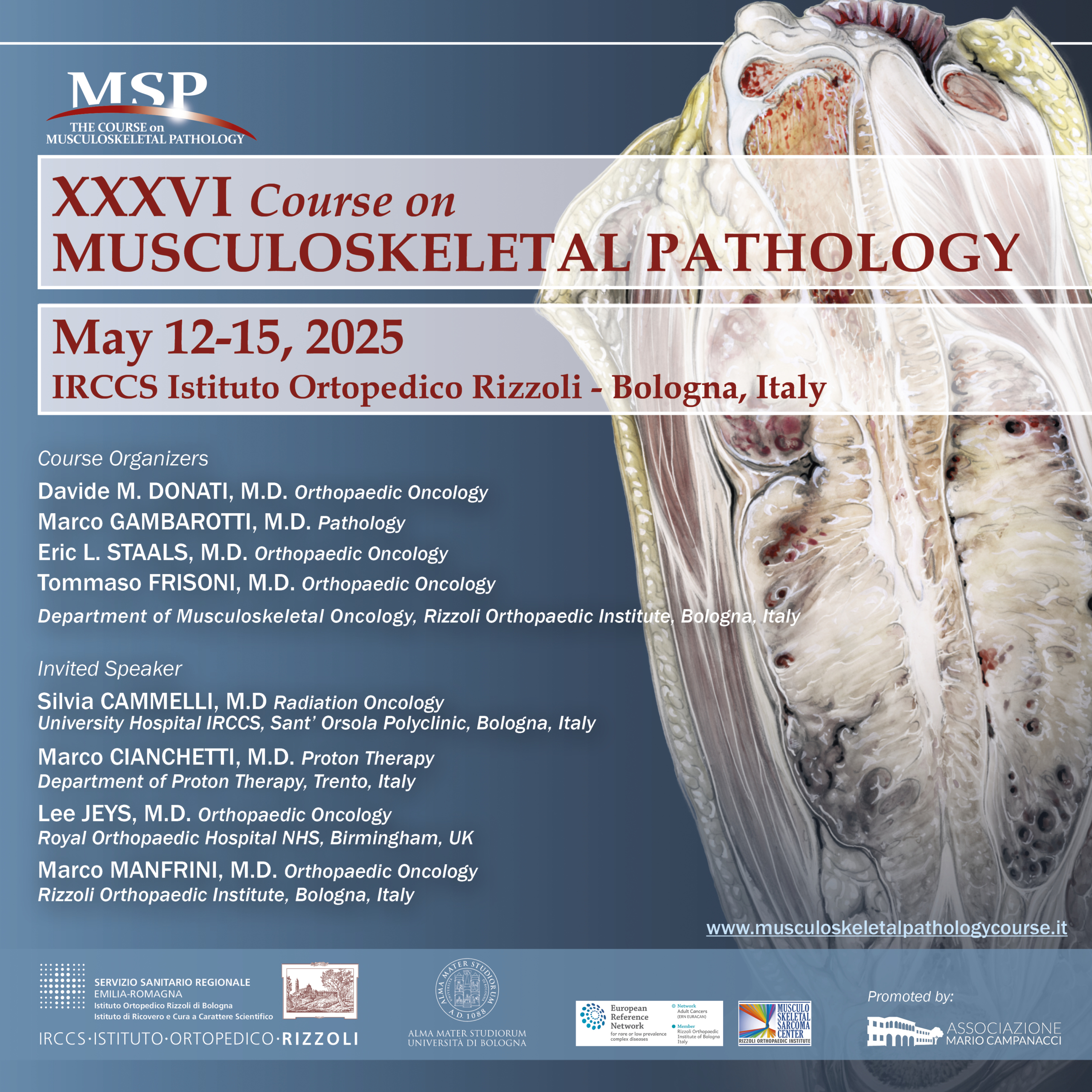 XXXVI COURSE ON MUSCULOSKELETAL PATHOLOGY 