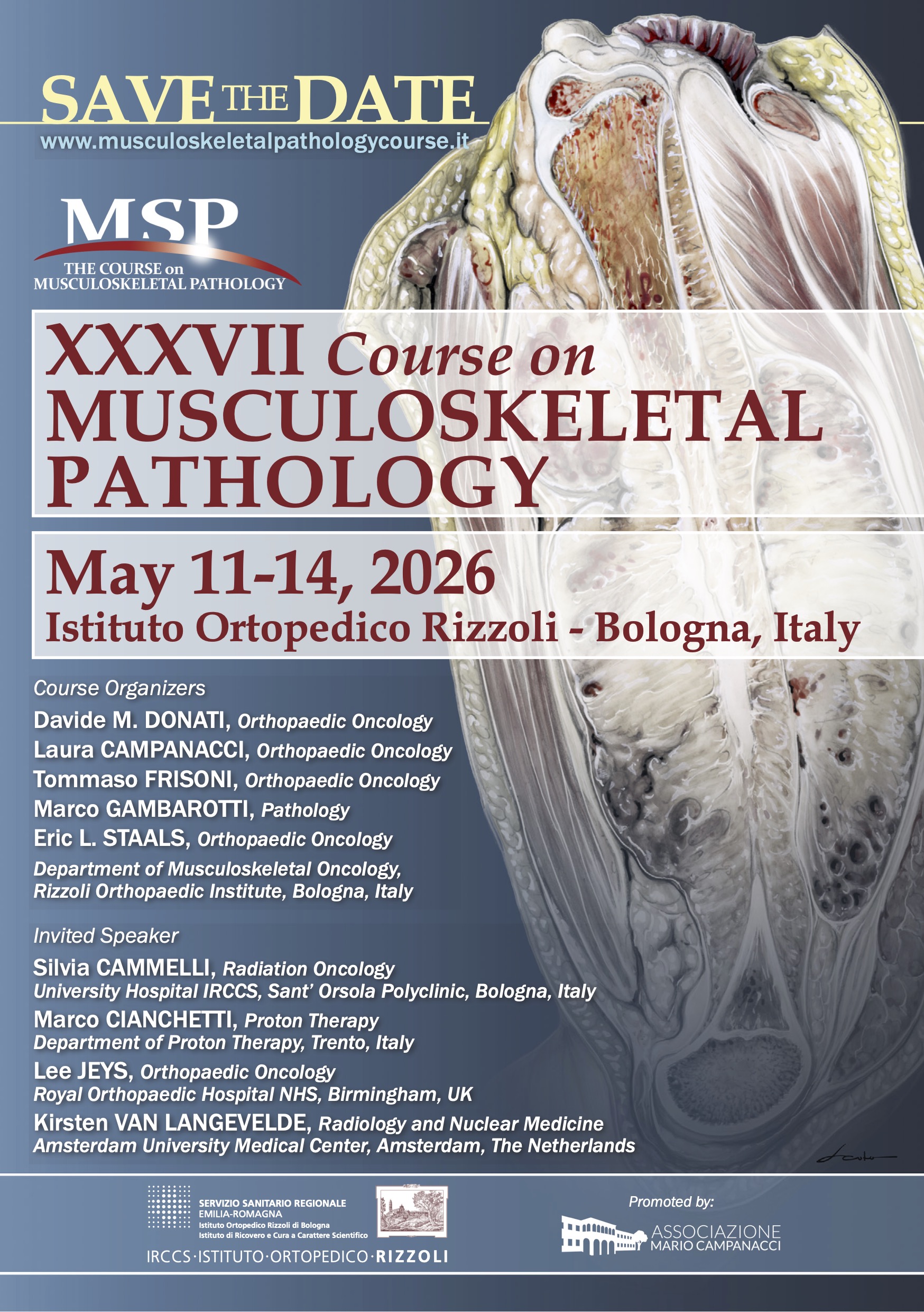 XXXVII COURSE ON MUSCULOSKELETAL PATHOLOGY  